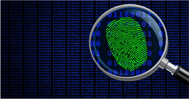 cybersecuritycheckup